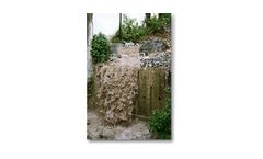 Waste Streams Services
