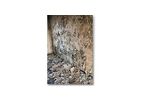 Mold, Biologicals Services
