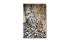 Mold, Biologicals Services
