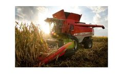 Massey Ferguson - Model 3000 - Corn Heads