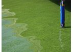 Felix - Blue-Green Algae Sensor
