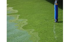 Felix - Blue-Green Algae Sensor