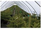 Dura-Film Panda - Reflective and Opaque 4-Mil White/Black Horticultural Film