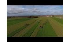 Crusher Rollers Cutting at Triple M Farms in Stockton, California - Video