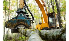 Harvesting & In-Forest Chipping Services