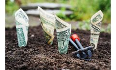 International Financial Transaction Management Services