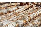 GNT - Birch Logs