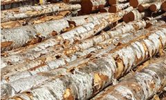 GNT - Birch Logs
