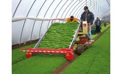 De-Pietri - Model FR 28 - Herb and Vegetable Harvester