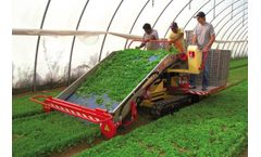 De-Pietri - Model FR 32 - Herb and Vegetable Harvester
