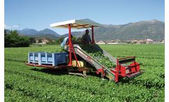 De-Pietri - Model FR 80 - Herb and Vegetable Harvester