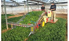 De-Pietri - Model HP 30 - Herb and Vegetable Harvester