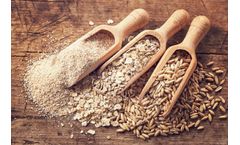 Advanced Plant Construction Solutions for Grain and Animal Feed Industry