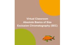 Absolute Basics of SEC