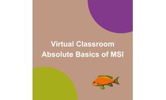 Absolute Basics of MSI