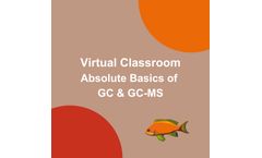 Absolute Basics of GC & GC-MS