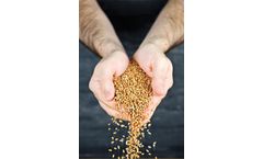 Akron - Animal Feed