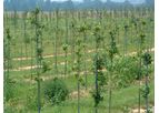 Wellco - Fiberglass Plant Stake