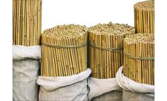 Wellco - Bamboo Stake