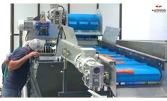 Root Vegetables Primary Processing Center - AIPL 170 - Allround Vegetable Processing - Video