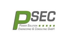 Consulting Services