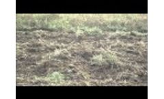 ADM 2456 - Video