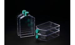 SPL - Cell Culture Flask