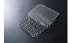 SPL - Square Dish