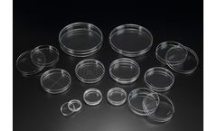 SPL - Petri Dish