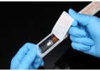 SPL - Serological Pipette