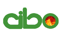 Cleaver-Brooks Boiler Systems Training