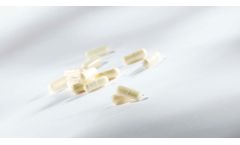 Carprofen - Capsule