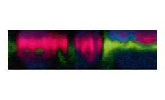 Nano-analytical microscope systems solutions for forensics sector