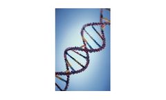 Research and Development Services
