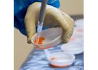 Fish Health Services