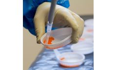 Fish Health Services