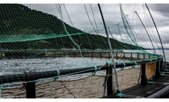 AKVA - Model Birdnet - Special Net