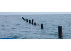 Offshore Mussel Float System