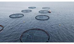 Mørenot - Nylon Ripple Free Net
