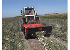 Checchi e Magli - Model SP - Onion Digger