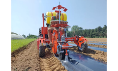 Checchi e Magli - Model Smartwolf - Transplanter