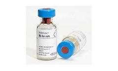Nobivac Bb for Cats