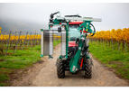 Clemens - Vineyard Pre-Pruning