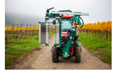 Clemens - Vineyard Pre-Pruning