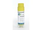 Creative Biogene - Model ERCC1 -CSC-RK0002 - Human Excision Repair Cross Complementing Polypeptide