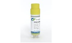 Creative Biogene - Model CSC-RK0045-Nos3 - Knockout Mouse Lung Endothelial Cells