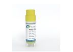 Creative Biogene - Model CSC-RK0046-Nos3 - Knockout Mouse Liver Sinusoidal Endothelial Cells