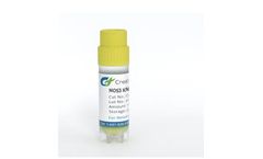 Creative Biogene - Model CSC-RK0046-Nos3 - Knockout Mouse Liver Sinusoidal Endothelial Cells