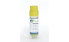 Creative Biogene - Model CSC-RO01314-ABCC3 -MDCK - Human Stable Cell