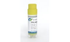 Creative Biogene - Model CSC-RO02626-ABCB1-MDCK - Dog Stable Cell